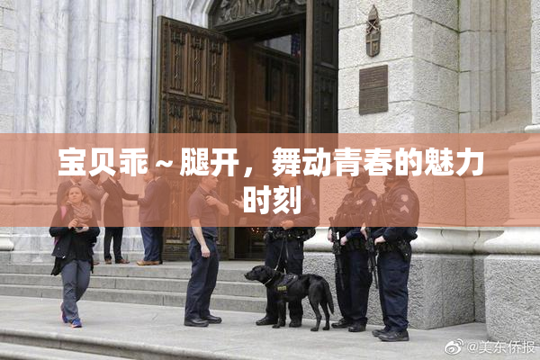 宝贝乖～腿开，舞动青春的魅力时刻