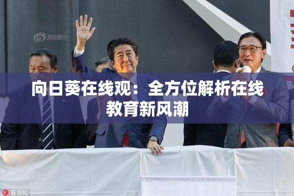 向日葵在线观：全方位解析在线教育新风潮