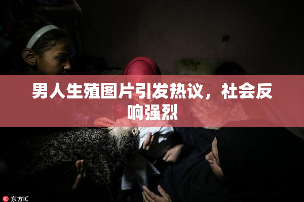男人生殖图片引发热议，社会反响强烈