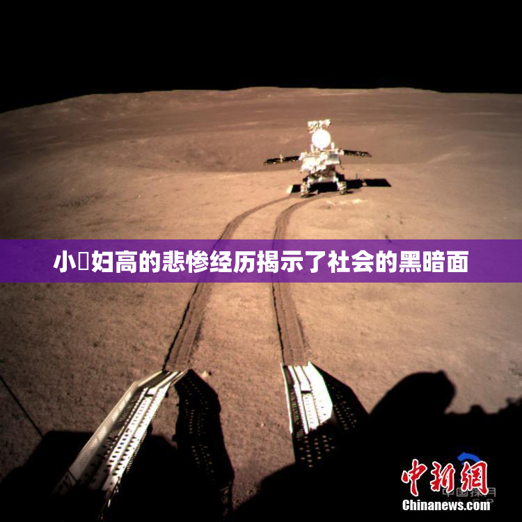 小婬妇高的悲惨经历揭示了社会的黑暗面