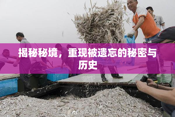 揭秘秘境，重现被遗忘的秘密与历史