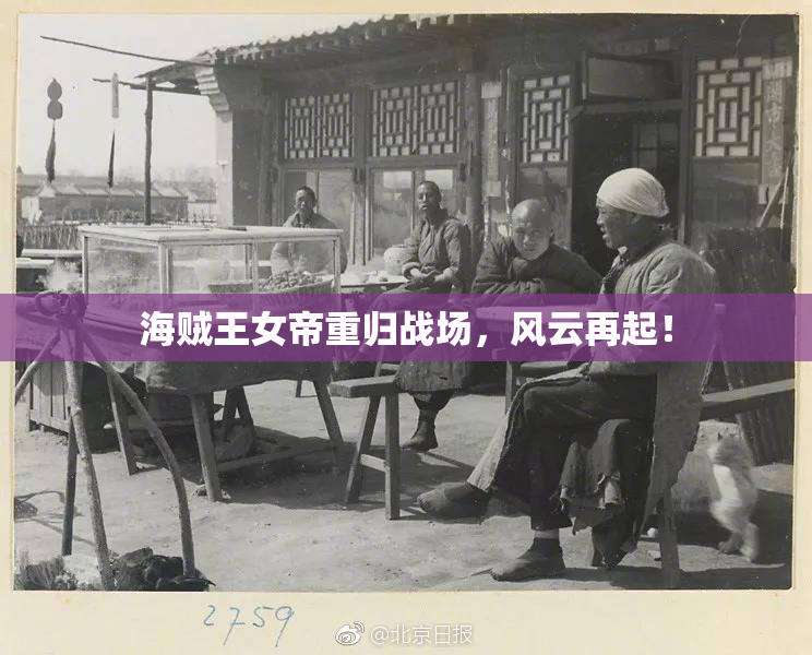 海贼王女帝重归战场，风云再起！