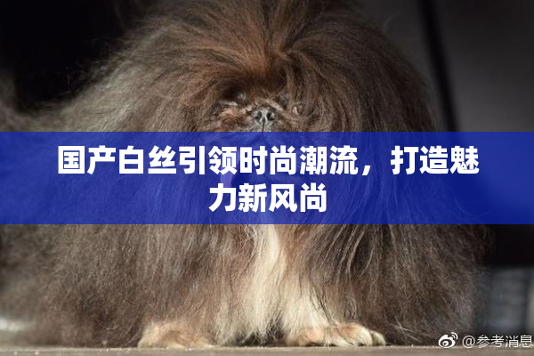 国产白丝引领时尚潮流，打造魅力新风尚