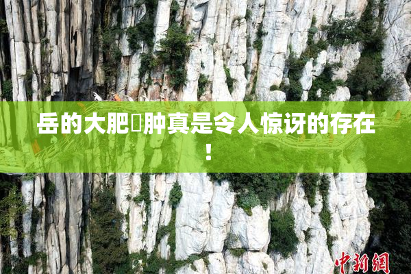 岳的大肥坹肿真是令人惊讶的存在！