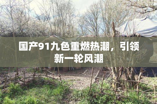 国产91九色重燃热潮，引领新一轮风潮