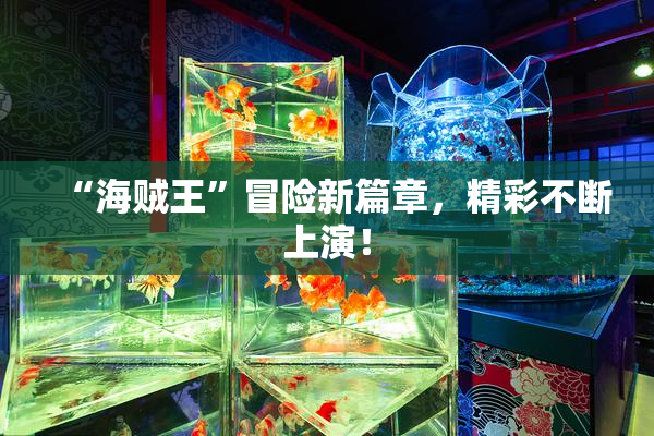 “海贼王”冒险新篇章，精彩不断上演！