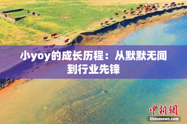 小yoy的成长历程：从默默无闻到行业先锋