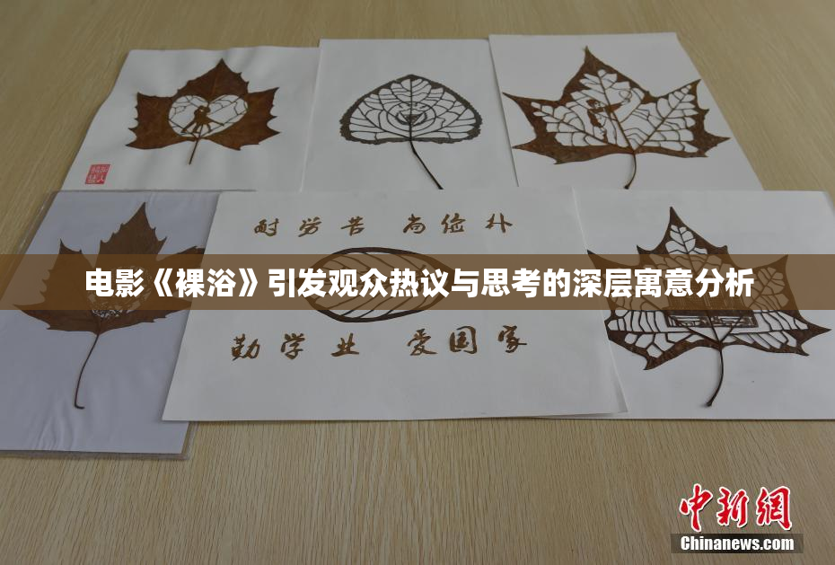 电影《裸浴》引发观众热议与思考的深层寓意分析