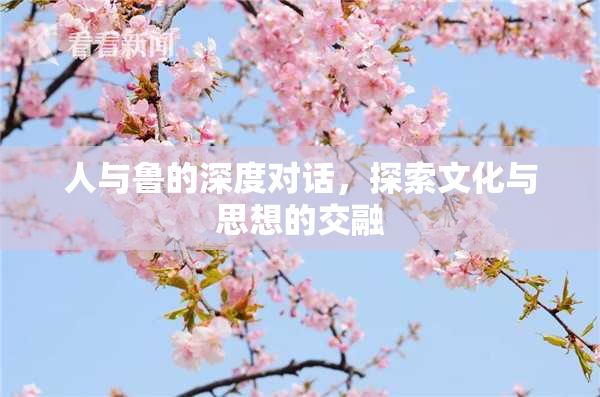 人与鲁的深度对话，探索文化与思想的交融