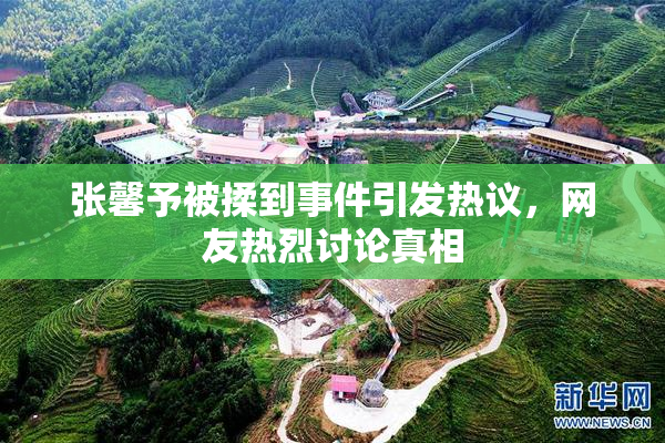 张馨予被揉到事件引发热议，网友热烈讨论真相