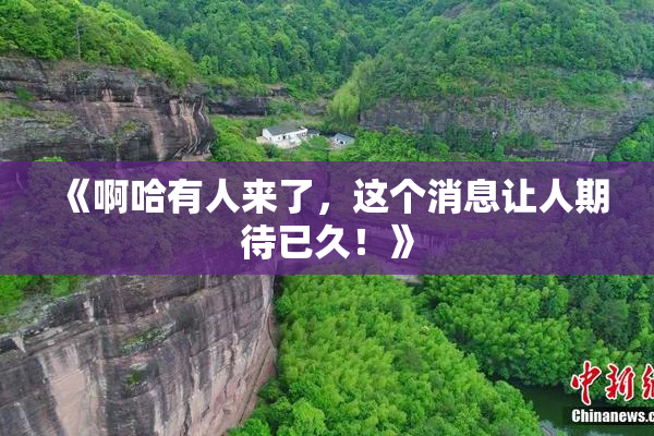 《啊哈有人来了，这个消息让人期待已久！》