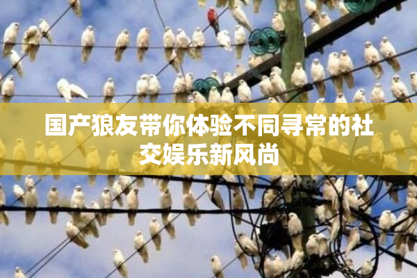 国产狼友带你体验不同寻常的社交娱乐新风尚