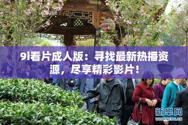 9i看片成人版：寻找最新热播资源，尽享精彩影片！