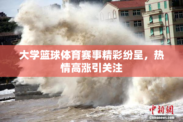 大学篮球体育赛事精彩纷呈，热情高涨引关注