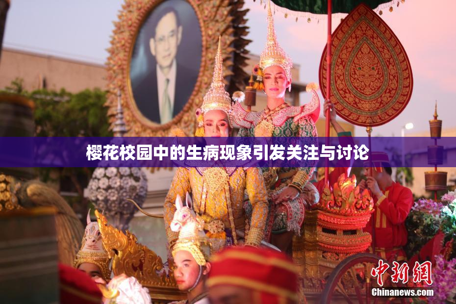 樱花校园中的生病现象引发关注与讨论