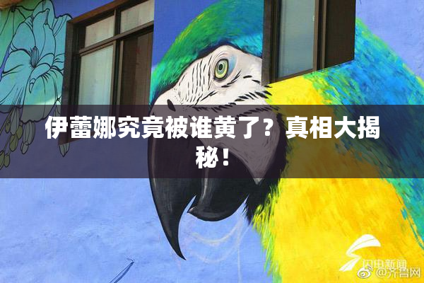 伊蕾娜究竟被谁黄了？真相大揭秘！