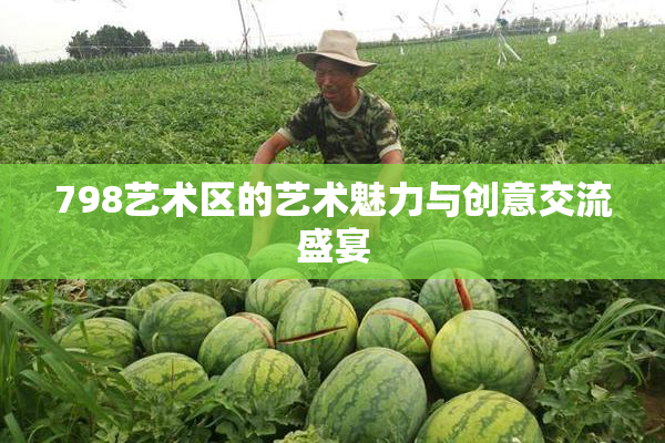 798艺术区的艺术魅力与创意交流盛宴