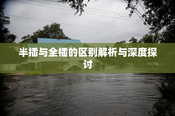 半插与全插的区别解析与深度探讨