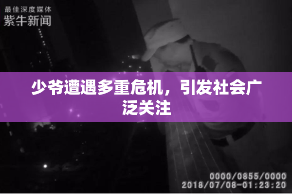少爷遭遇多重危机，引发社会广泛关注