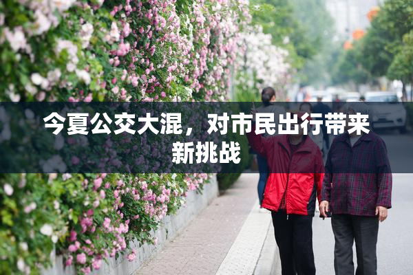 今夏公交大混，对市民出行带来新挑战