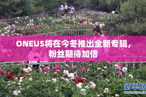 ONEUS将在今冬推出全新专辑，粉丝期待加倍