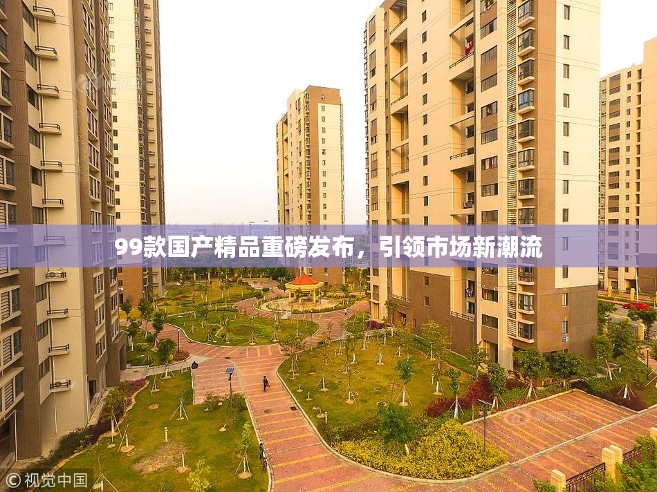 99款国产精品重磅发布，引领市场新潮流