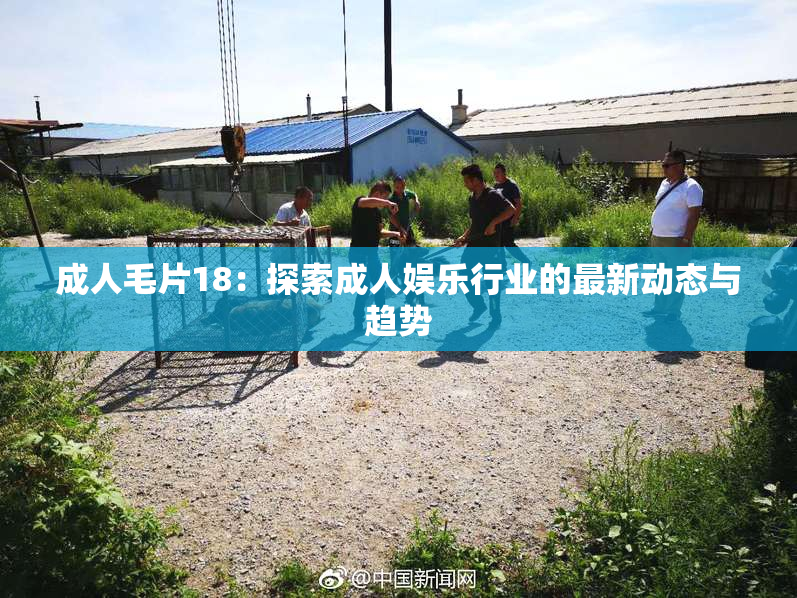 成人毛片18：探索成人娱乐行业的最新动态与趋势