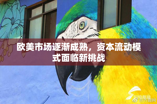 欧美市场逐渐成熟，资本流动模式面临新挑战