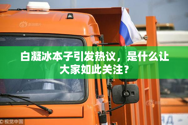 白凝冰本子引发热议，是什么让大家如此关注？