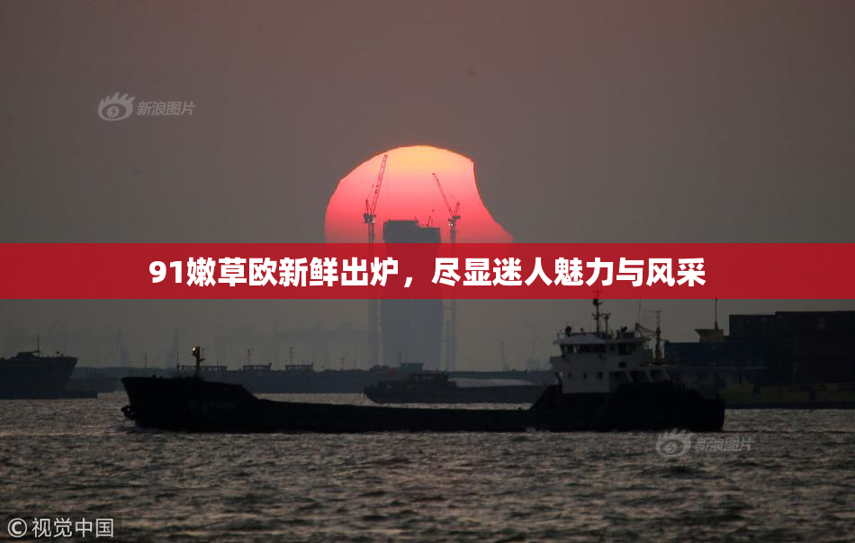 91嫩草欧新鲜出炉，尽显迷人魅力与风采
