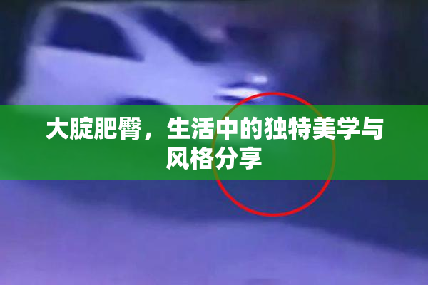 大腚肥臀，生活中的独特美学与风格分享