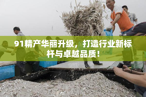 91精产华丽升级，打造行业新标杆与卓越品质！