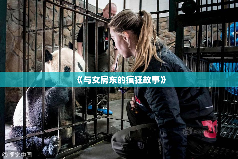 《与女房东的疯狂故事》