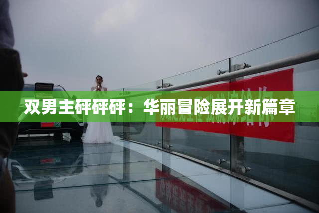 双男主砰砰砰：华丽冒险展开新篇章