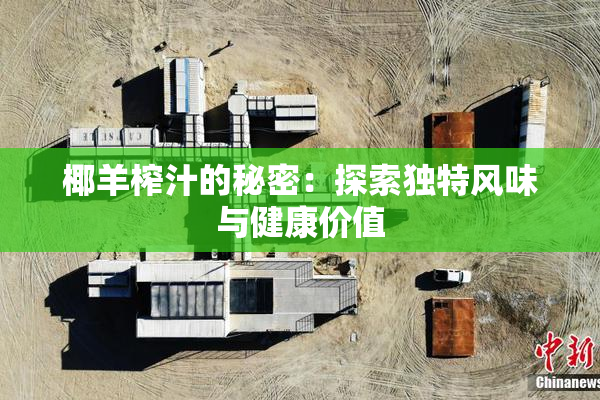 椰羊榨汁的秘密：探索独特风味与健康价值
