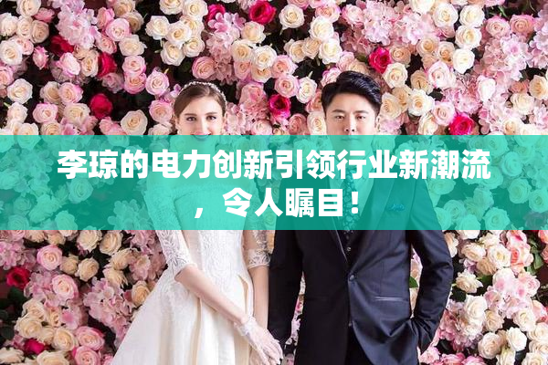 李琼的电力创新引领行业新潮流，令人瞩目！