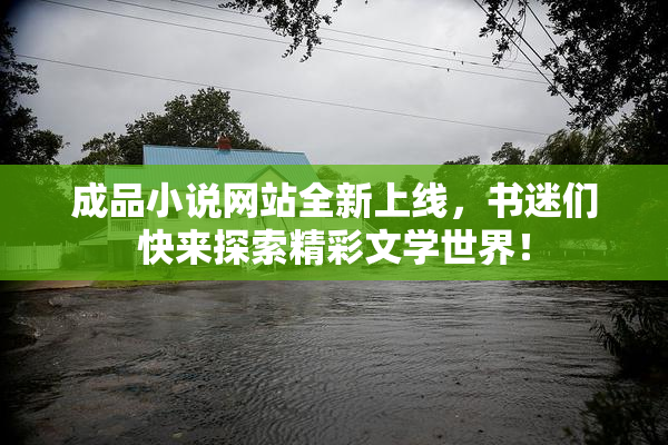 成品小说网站全新上线，书迷们快来探索精彩文学世界！