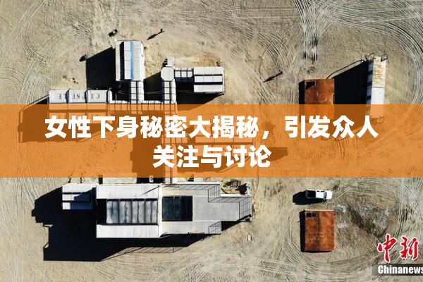 女性下身秘密大揭秘，引发众人关注与讨论