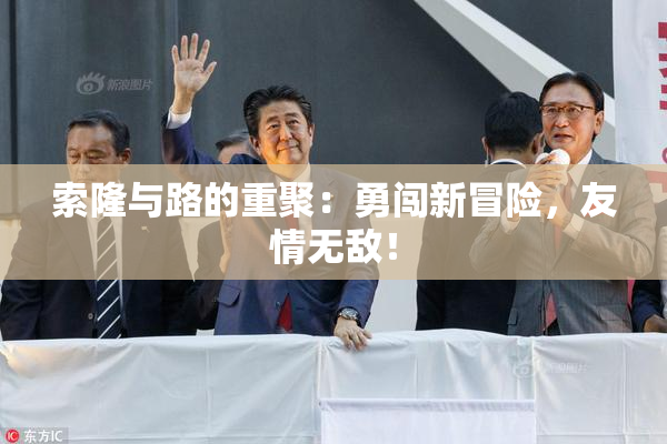 索隆与路的重聚：勇闯新冒险，友情无敌！