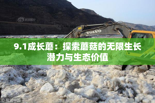9.1成长蘑：探索蘑菇的无限生长潜力与生态价值