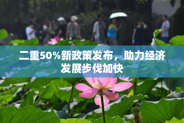二重50%新政策发布，助力经济发展步伐加快