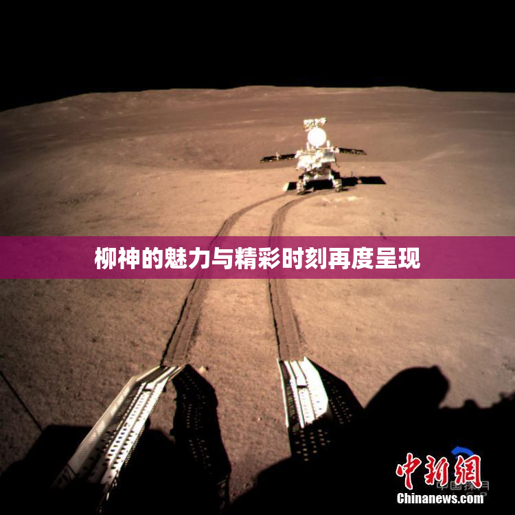柳神的魅力与精彩时刻再度呈现