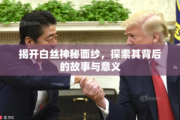 揭开白丝神秘面纱，探索其背后的故事与意义
