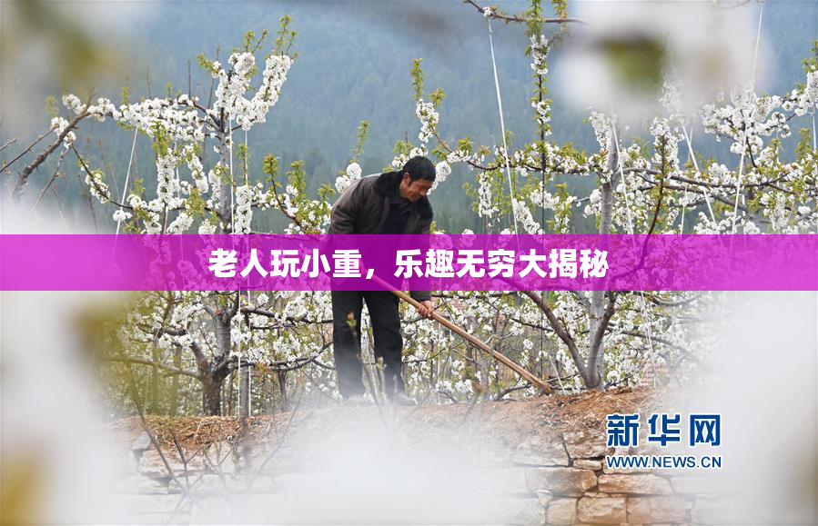 老人玩小重，乐趣无穷大揭秘