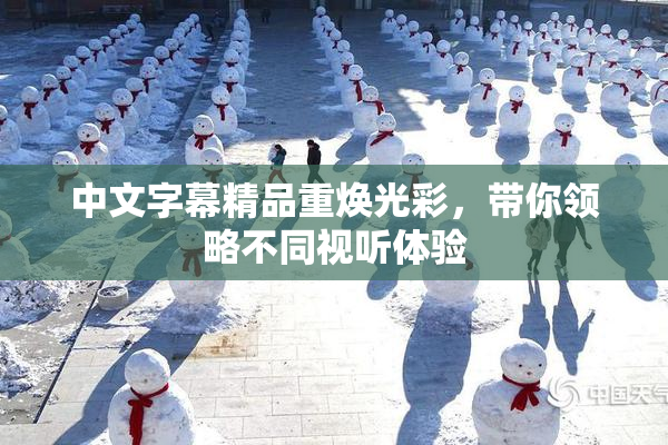 中文字幕精品重焕光彩，带你领略不同视听体验