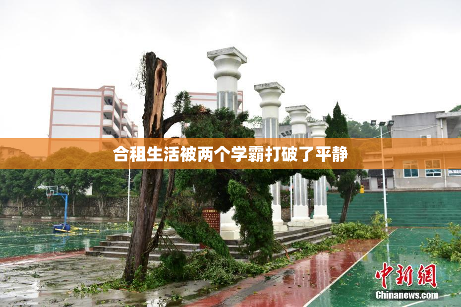 合租生活被两个学霸打破了平静