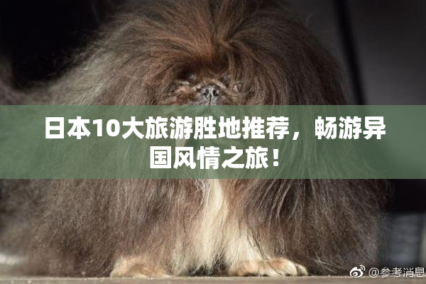日本10大旅游胜地推荐，畅游异国风情之旅！
