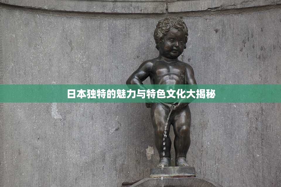 日本独特的魅力与特色文化大揭秘