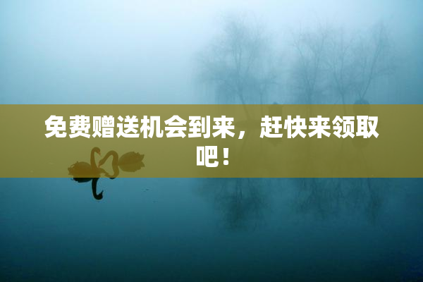 免费赠送机会到来，赶快来领取吧！