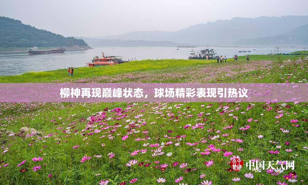 柳神再现巅峰状态，球场精彩表现引热议
